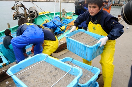 東日本大震災:コウナゴ漁の試験操業開始−−相馬沖 ／福島