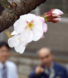 天気:３月の平均気温、３地方で最高値…関東甲信など