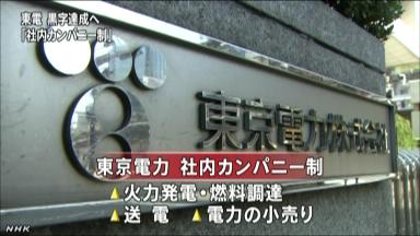 東電、社内カンパニー制導入 発送電分離に対応