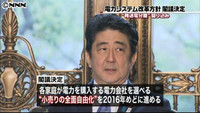 政府、“電力システム改革方針”を閣議決定（東京都）