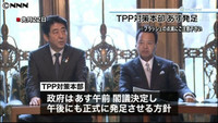 ＴＰＰ対策本部を設置＝米との事前協議急ぐ－政府