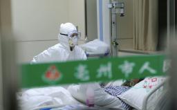 中国鳥インフル、死者８人に ウイルスは中韓混合か