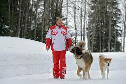 プーチン氏「ゆめ」と雪遊び＝寄贈の秋田犬公開－ロシア