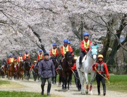 桜きっと咲かせる…騎手の卵が「観桜乗馬」