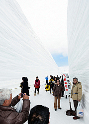 目がくらむ雪壁登場 立山黒部アルペンルート全線開通