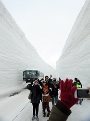 立山黒部アルペンルート:全線で開通 雪の壁に歓声