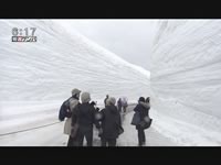 雪の壁歓声 アルペンルート全線開通（長野県）