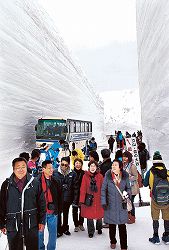 立山黒部アルペンルート全線開通 輝く雪壁、４６００人満喫