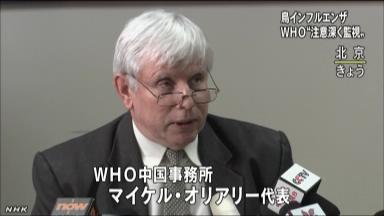 ＷＨＯ、鳥インフルで現地調査