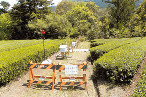 「崩れる規模不明」 天竜区春野の地滑り警戒続く