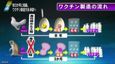 新製法の新型インフルワクチン承認へ 製造期間を短縮