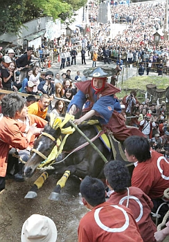 桑名・多度大社で上げ馬神事 土壁越え２回成功