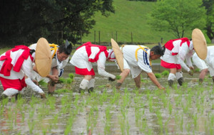 遷宮控え御田植初 伊勢の神宮神田