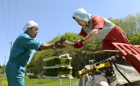 福島の旧警戒区域と旧避難区域で田植えと運動会 ３年ぶり笑顔