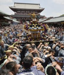 みこし100基、練り歩く 東京・浅草の三社祭