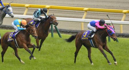 メイショウマンボ、中規模牧場から頂点＝武幸、挑戦を進言－競馬オークス