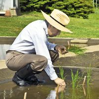 天皇陛下:皇居内の水田で田植え 秋に収穫