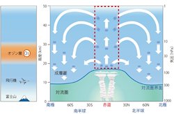 成層圏の「赤道準2年振動」は過去数10年弱まり続けている - JAMSTECなど