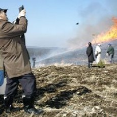 世界農業遺産に掛川など３地域＝国連機関が認定