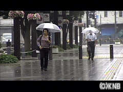 １６日ぶりに雨 暑さも和らぐ