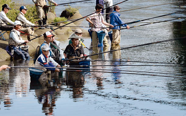 アユと人の知恵くらべ 犀川など釣り解禁