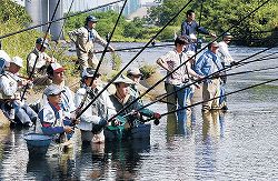 アユ解禁、犀川上流で釣果上々 金沢