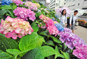 北陸梅雨入り きょう大雨の予報