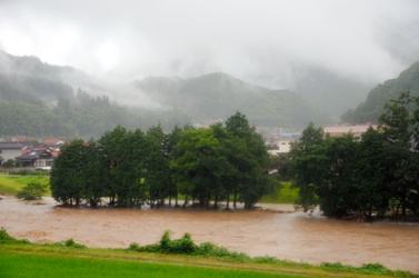 大雨で増水し濁流となった津和野川＝津和野町中座