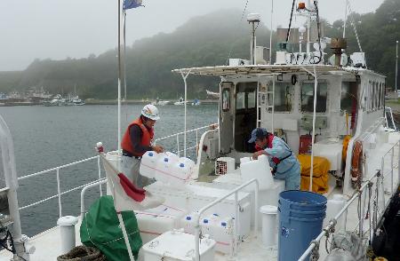 汚染水が「土の壁」越え流出も 福島第１原発