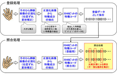 富士通研、手のひらの静脈画像から特徴コードを抽出して照合する認証技術