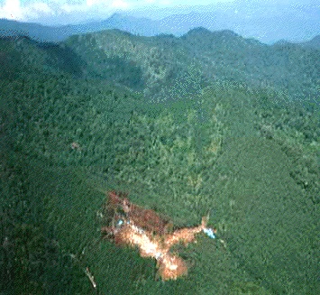 日航機墜落２８年:多くの遺族が慰霊登山 安全願い続け