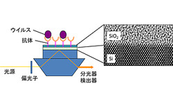 産総研、亜型インフルエンザまで識別可能な小型・高感度センサを開発