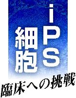 シリーズ「ｉＰＳ細胞 臨床への挑戦」 藤渕航・京都大ｉＰＳ細胞研究所教授