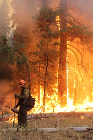 米カリフォルニア州の大規模山火事、原因はハンターの火