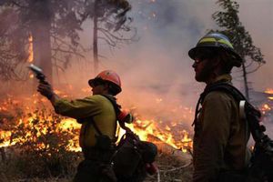 米ヨセミテ山火事、原因はハンターの火