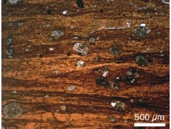 2億1500万年前の衝突は直径が最大で8km弱の超巨大隕石だった - 九大など