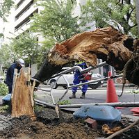 台風２６号、房総沖を北上…東北南部も暴風域に