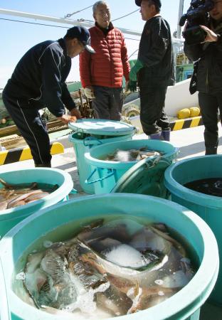 いわき沖で初の漁試験操業 福島第１事故から２年７カ月