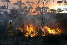 豪、山火事続出で３５０棟被害 地元州が非常事態宣言