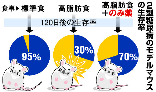 糖尿病・メタボ改善物質を発見 東大など、治療薬に期待