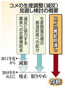 コメ補助金半減へ＝激変緩和で全農家に支給案－政府・自民