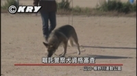 嘱託警察犬の審査（山口県）