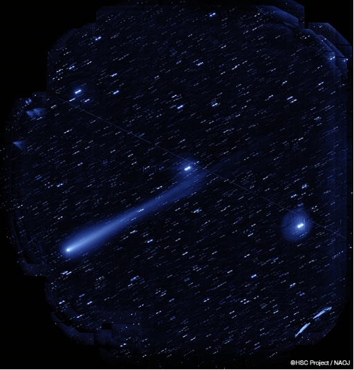 国立天文台、すばる望遠鏡のカメラで撮影した長い尾の「アイソン彗星」を掲載