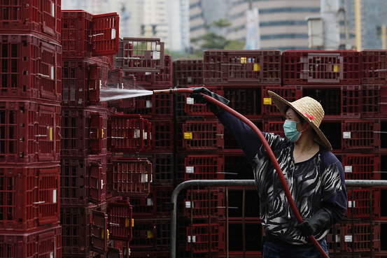 香港で「H7N9」型鳥インフルの初のヒト感染を確認