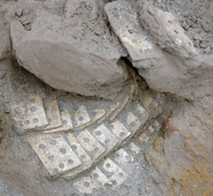 国内初の骨製小札 ６世紀初め渋川の金井東裏遺跡
