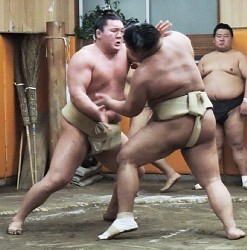 白鵬、稀勢の里の綱とり期待「３横綱になってみたい」