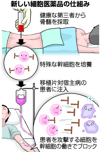 細胞を「医薬品」、初申請へ 兵庫の企業、年度内に