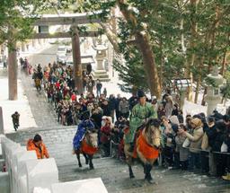 どさんこに乗り騎馬参拝 函館