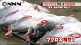 マグロの初セリ 最高値は７３６万円