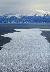 流氷:知床半島の沖合に迫る ウトロ沖２キロに散在